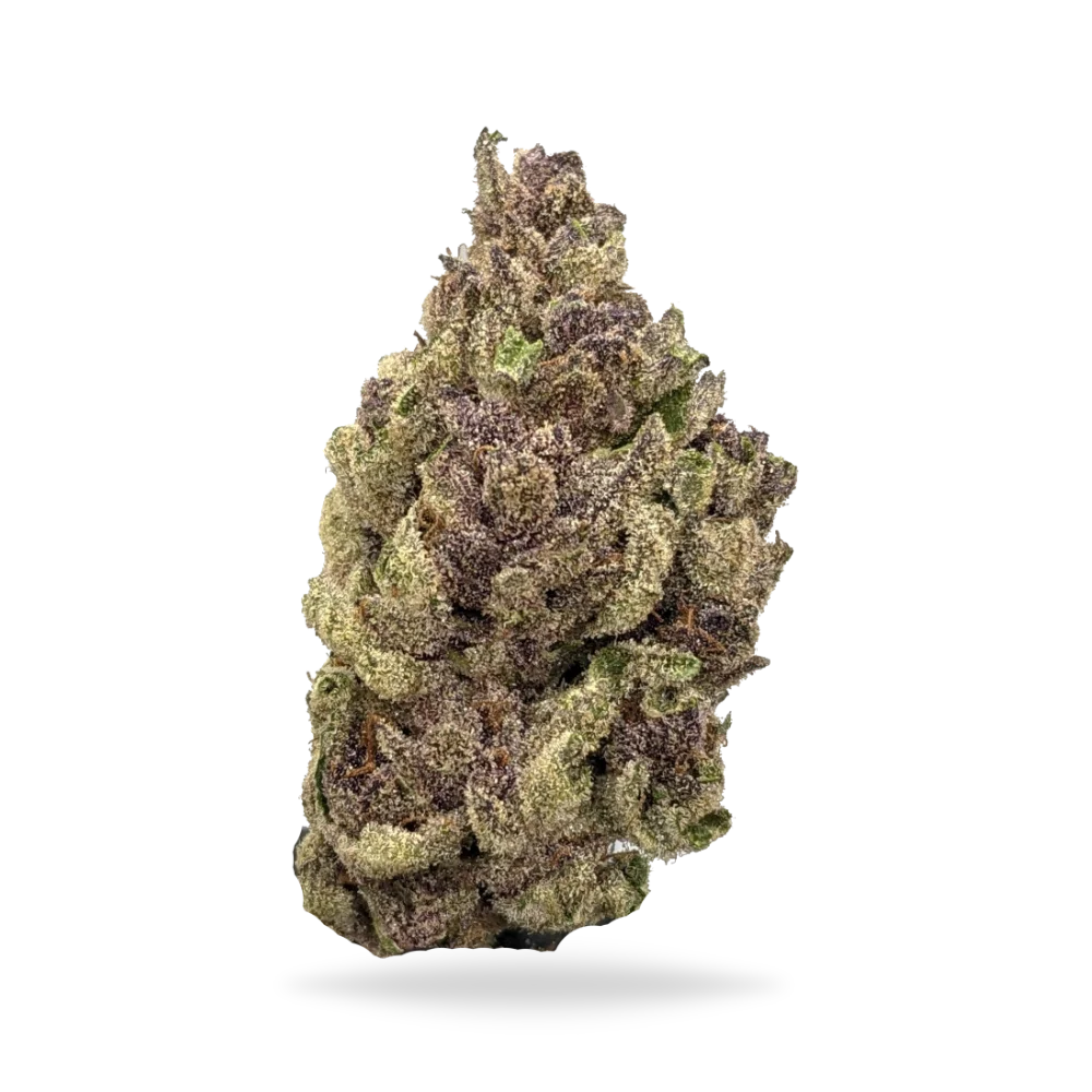Trop Cherry 31.52% Tier 1