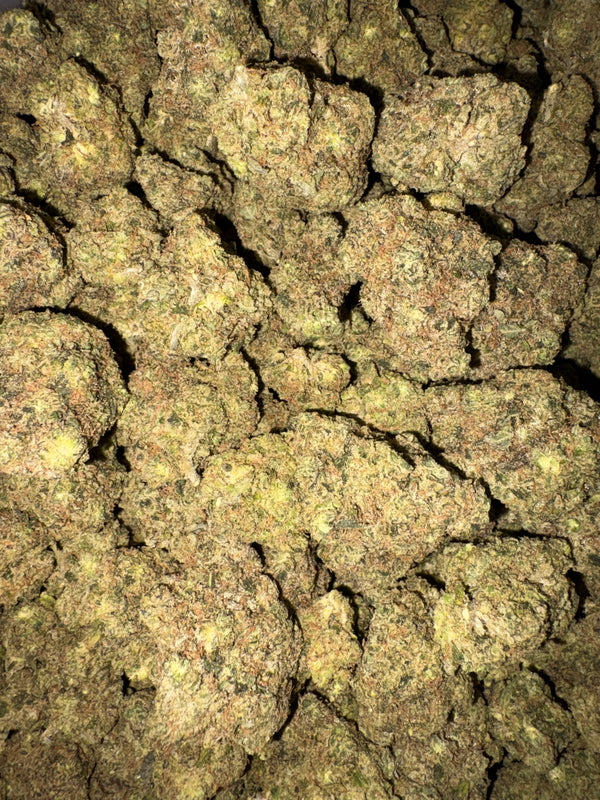 Ghost OG 24.11% Indica Tier 2