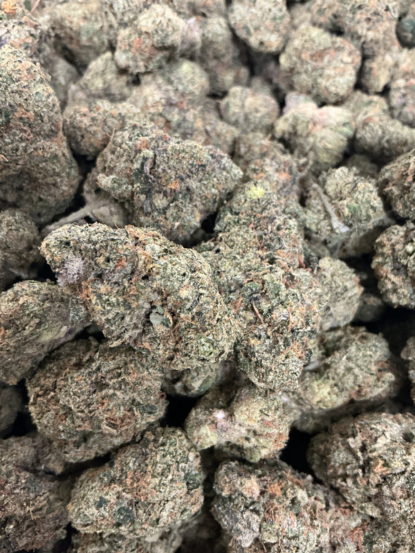 Griz 25.56% Hybrid Tier 2