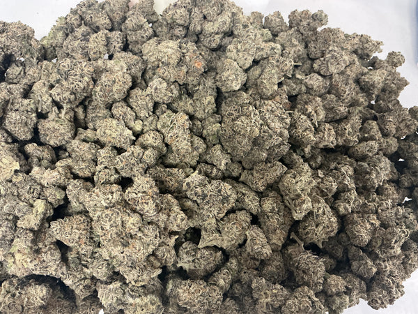 Jungle Gym 26.6% Hybrid Tier 2