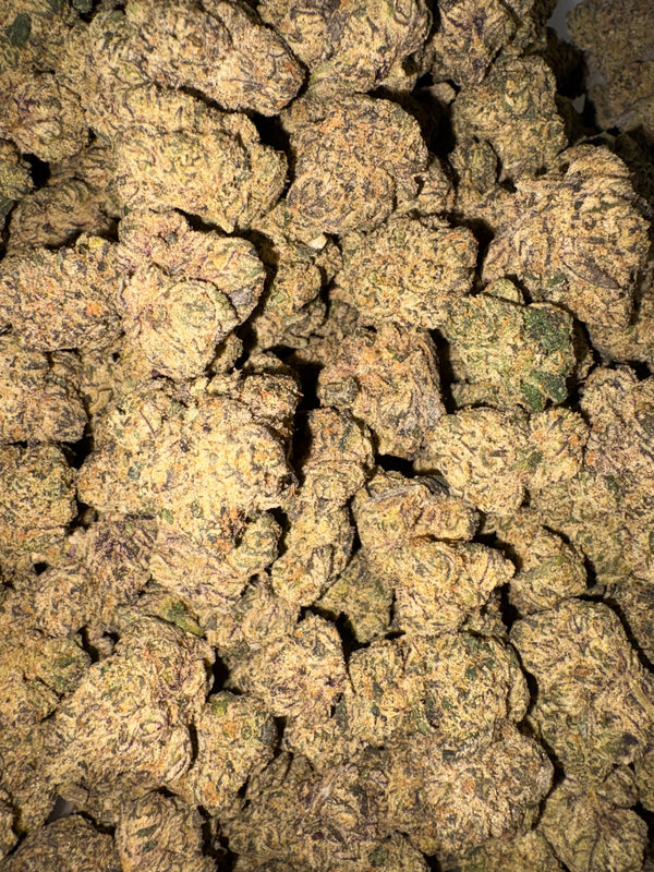 King Louie 24.66% Indica Tier 2