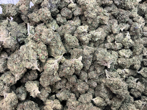 Magic Marker 26.21% Indica Hybrid Tier 1