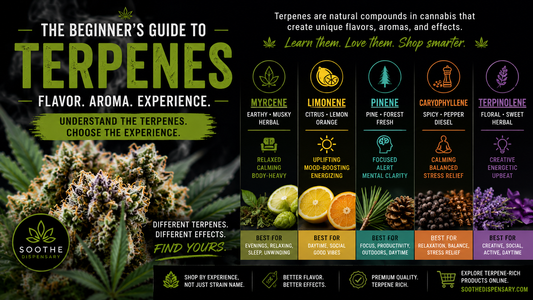 The Beginner’s Guide to Terpenes
