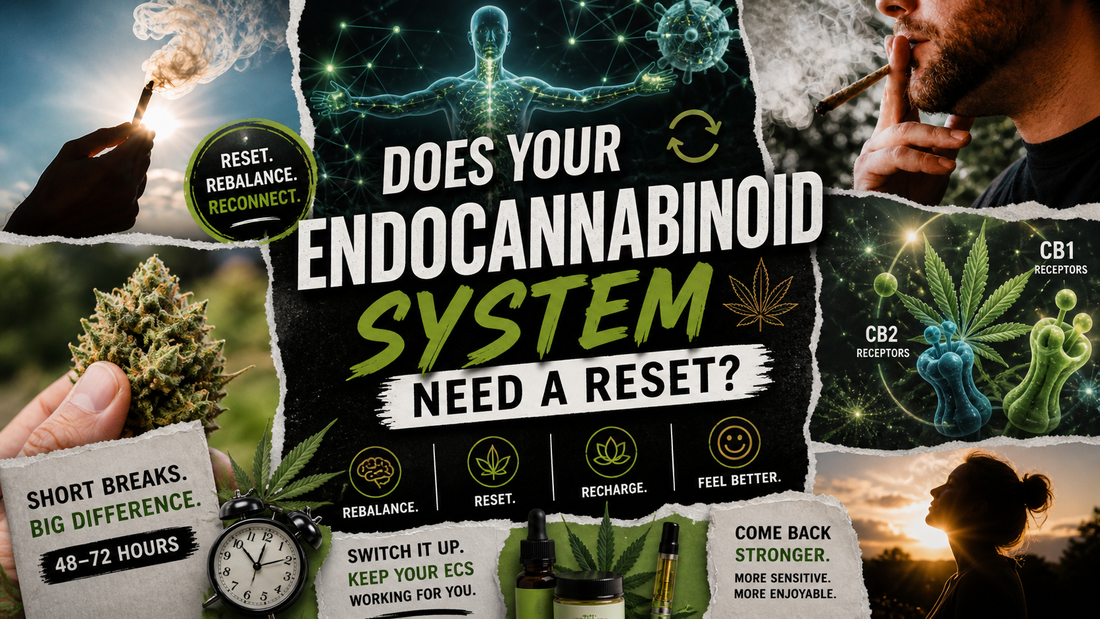 Does Your Endocannabinoid System Need a Reset?