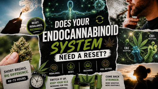 Does Your Endocannabinoid System Need a Reset?