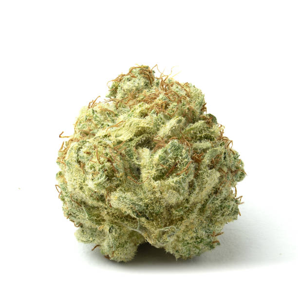 Tier 1 Flower
