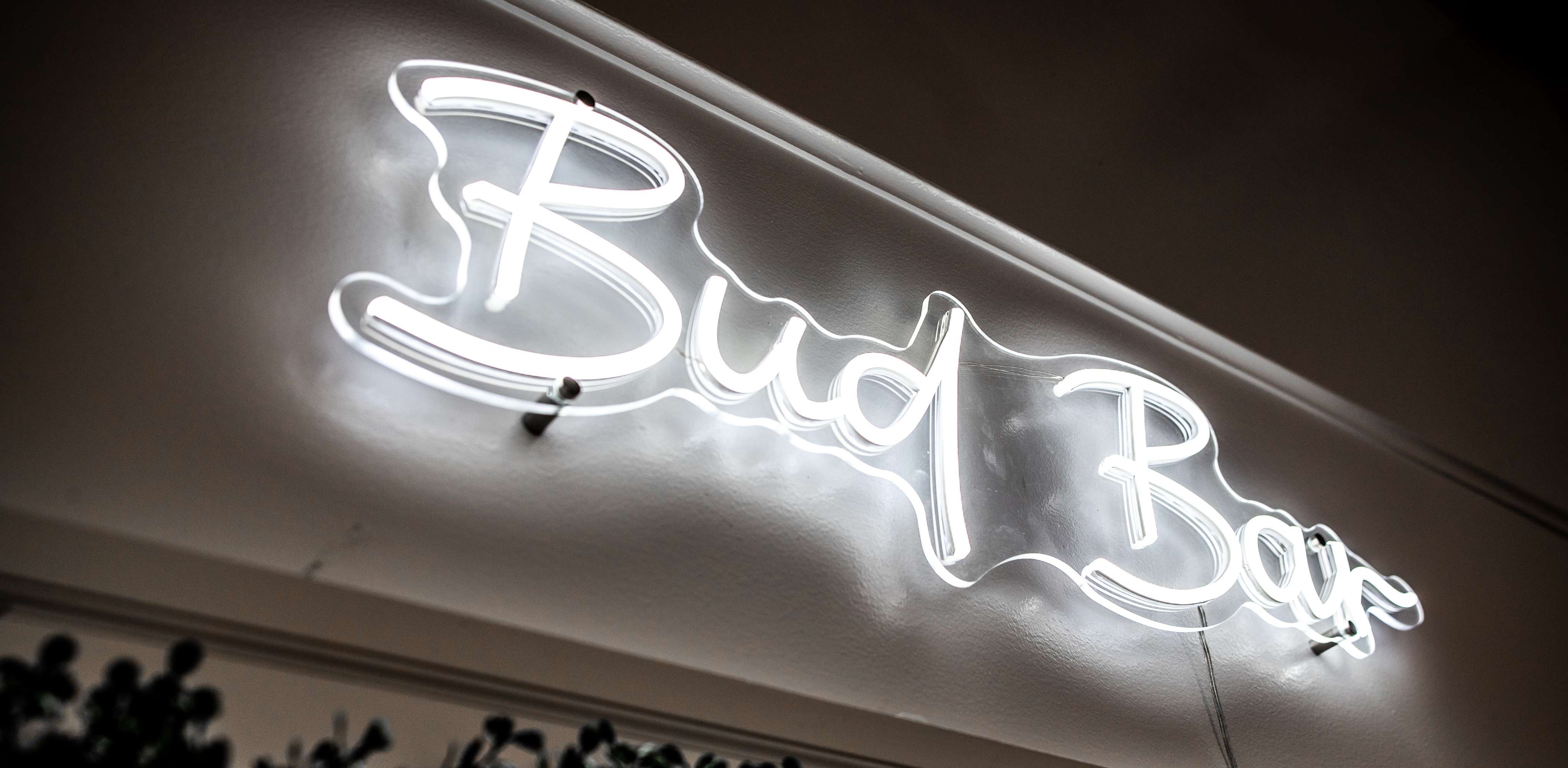 Neon sign for 'Bud Bar' above a building with trees in the foreground.