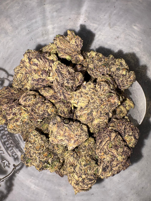 Blue Lobster 29.5% Hybrid Tier 2