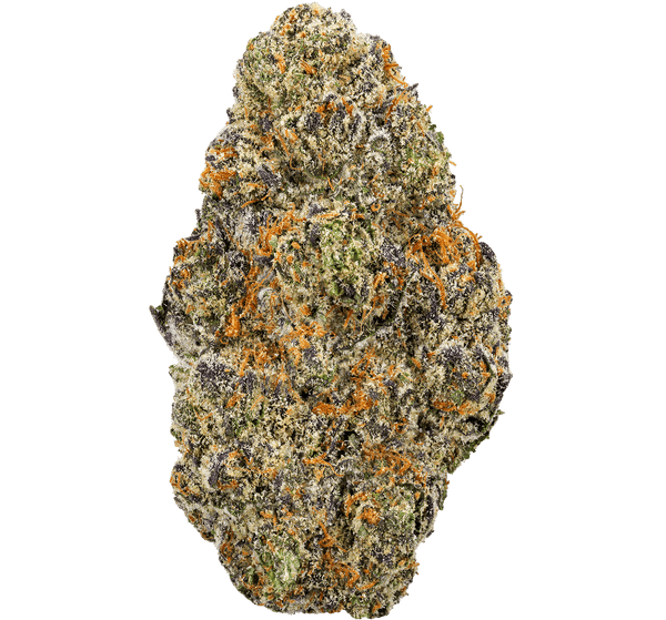 Black Cherry Soda 29.23% Tier 2