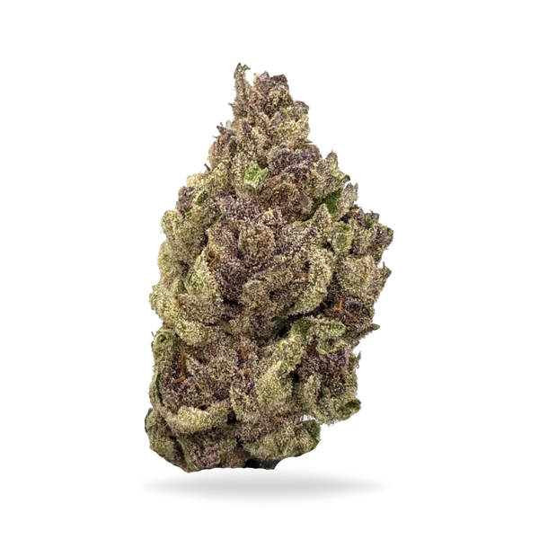 Trop Cherry 31.52% Tier 1