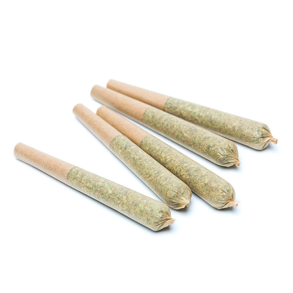 1g Pre-Roll Cones 5-Pack