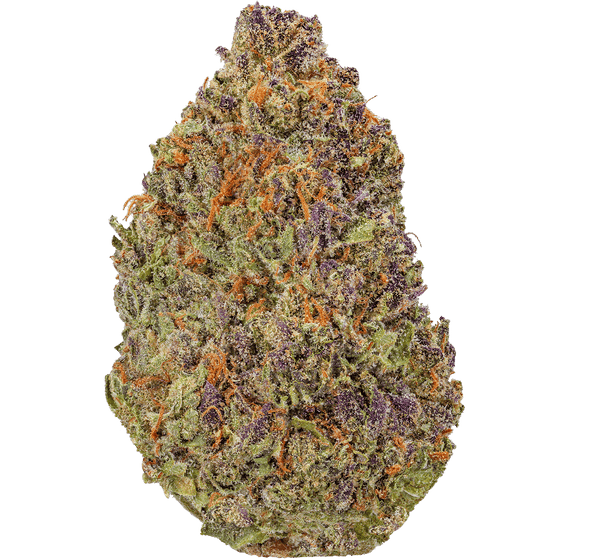Watermelon Z 30.1% Tier 1