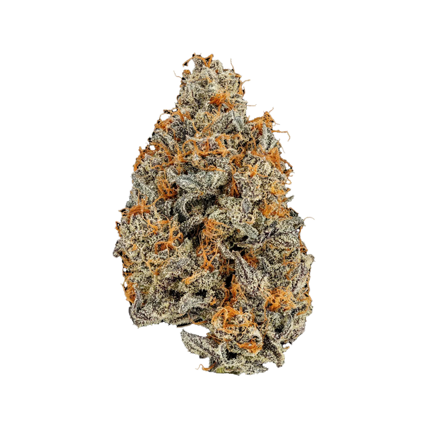 Giraffe P 28.2% Tier 2