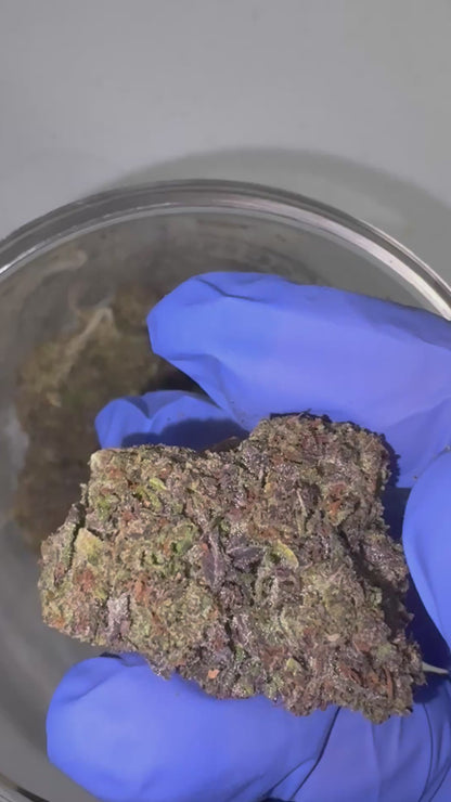 Black Cherry Soda 29.23% Tier 2